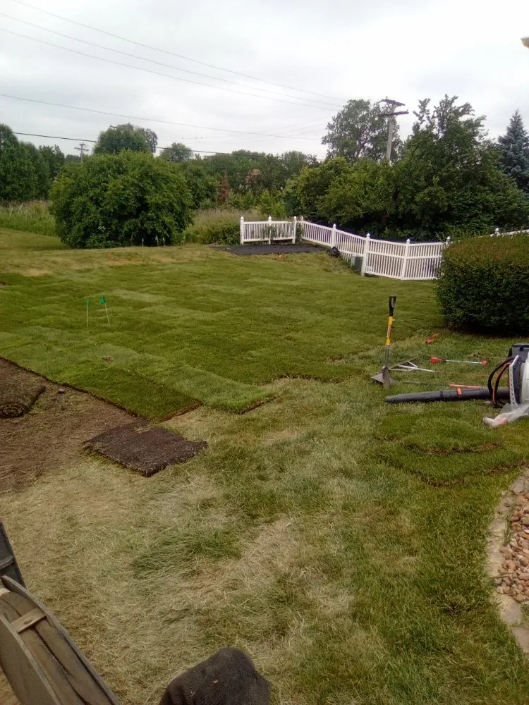 Trusted outdoor landscaping in Lemont, IL - Dreamscaping Yard Maintenace & Drainage