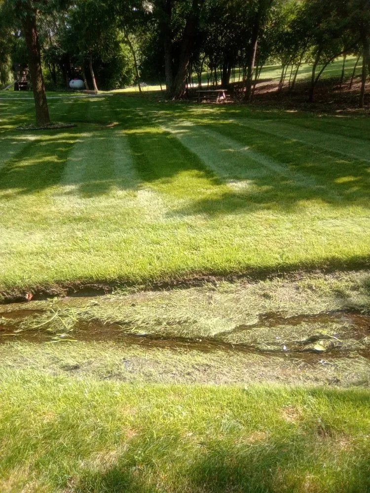 Local lawn care service in Lemont, IL by Dreamscaping Yard Maintenace & Drainage