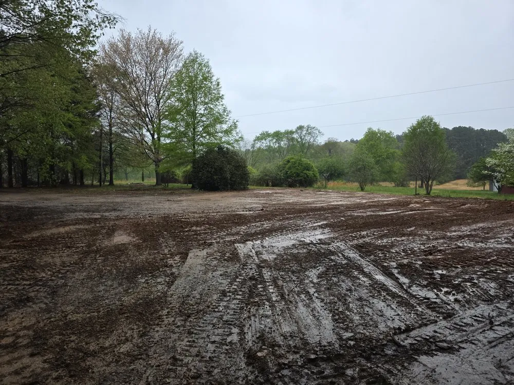 Expert yard cleanup service in Kernersville, NC - DreamSites Grading