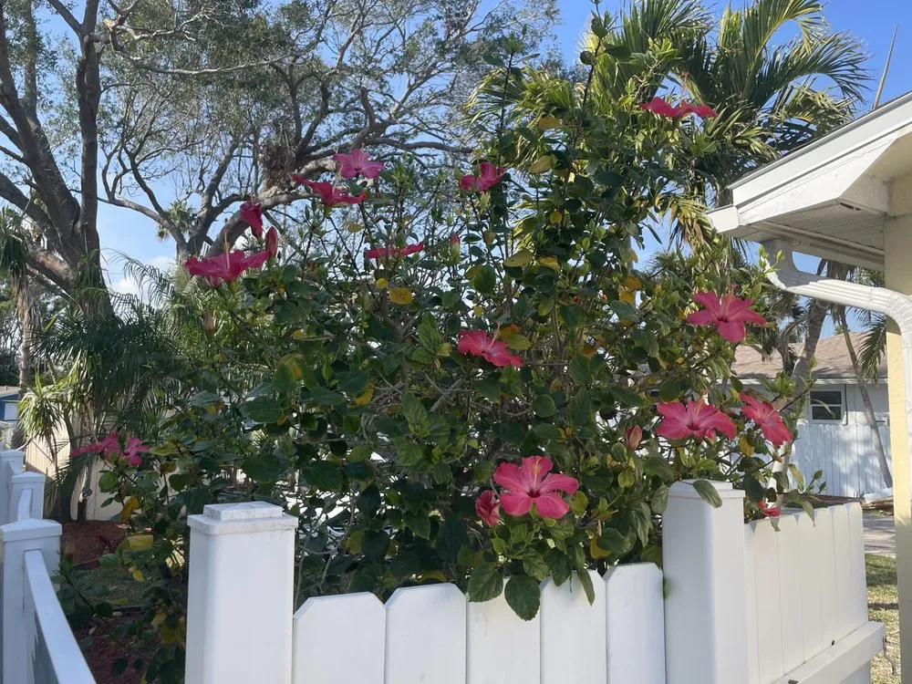 Trusted outdoor landscaping for beautiful yards across Bradenton, FL - Dreamspell Gardens