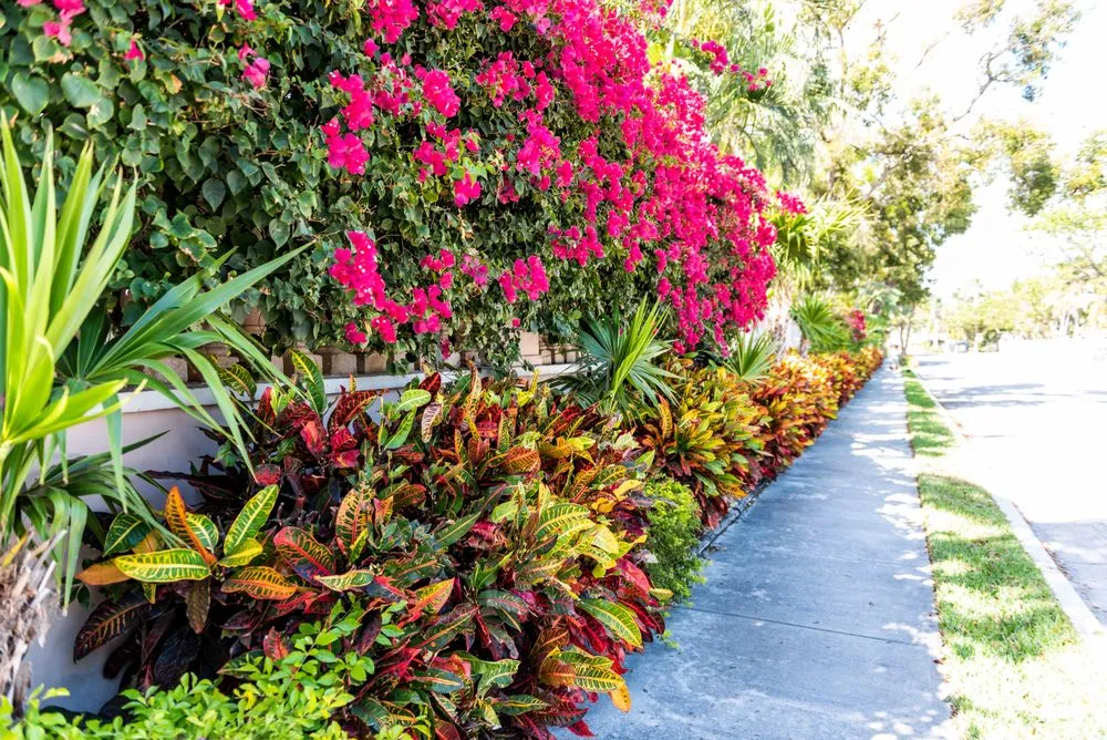 Professional garden landscaping for year-round maintenance in Bradenton, FL by Dreamspell Gardens