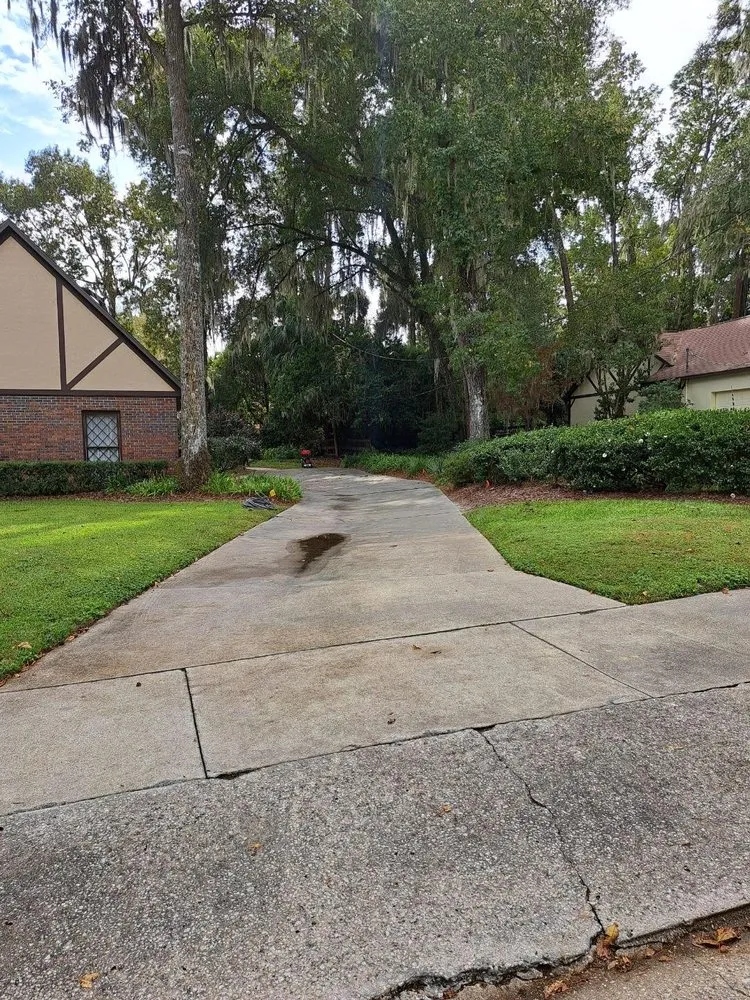 Professional landscaping services in Ocala, FL - DreamTeam Cleaning