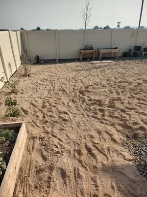 Dreamweavers of Life Logo