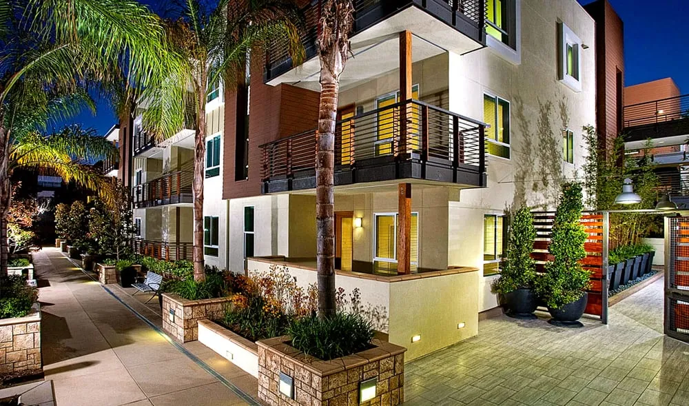 Expert yard cleanup service in Torrance, CA - DreamWork Landscape