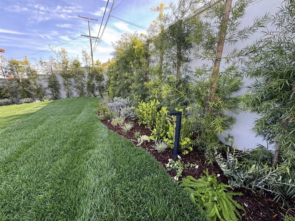 Top-rated lawn care service in Torrance, CA by DreamWork Landscape