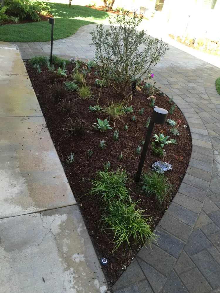 Professional lawn mowing service for homes across Torrance, CA - DreamWork Landscape