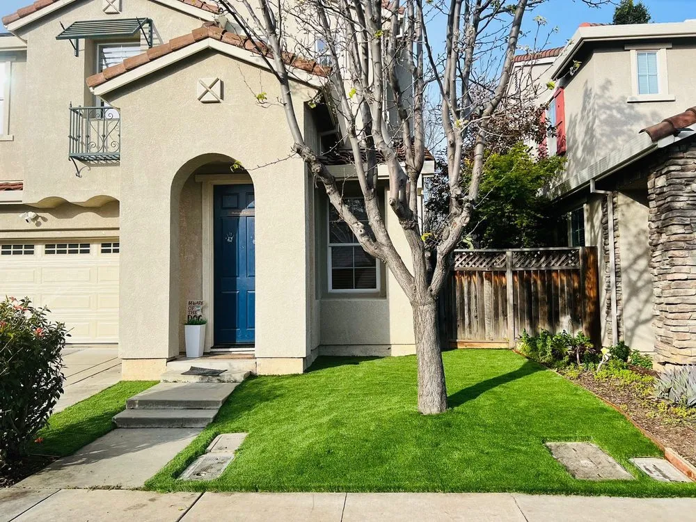 Expert yard maintenance in Campbell, CA by Dreamworks Landscapes & Design