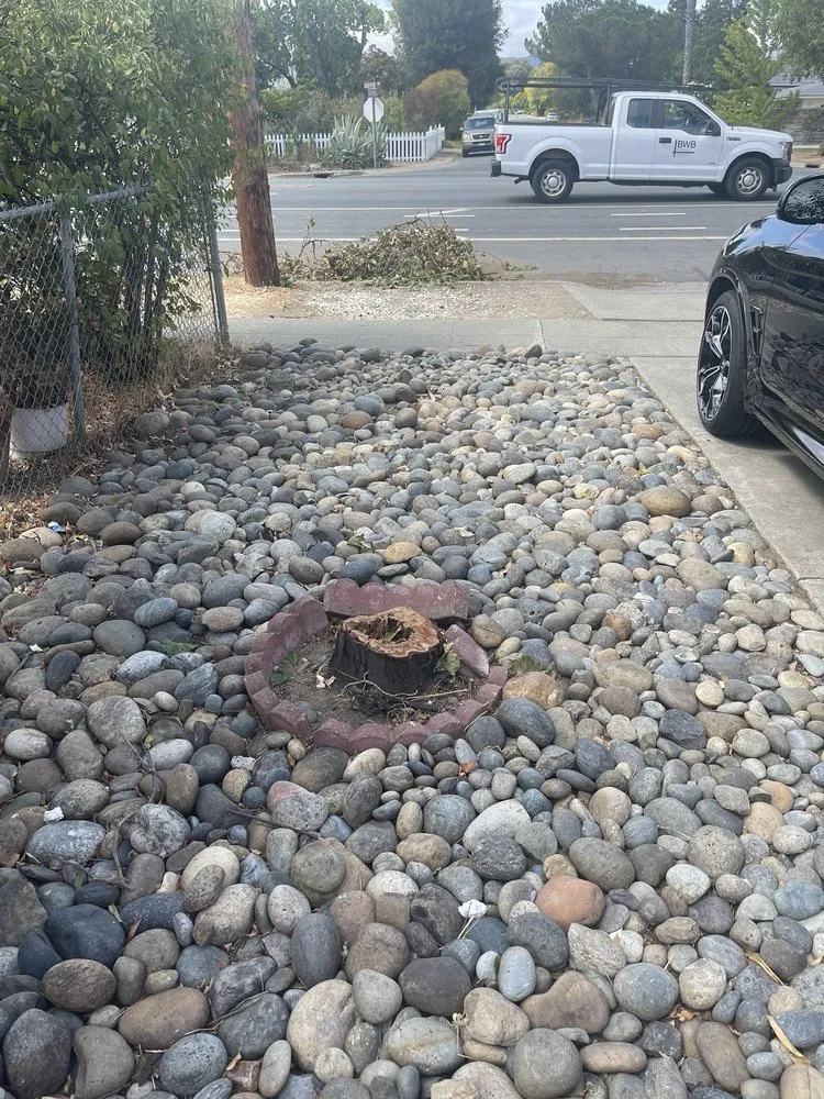 Trusted landscape installation experts serving Campbell, CA - Dreamworks Landscapes & Design