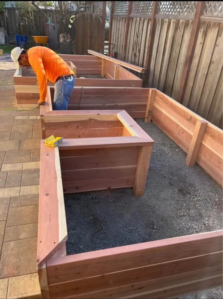 Top-rated lawn mowing service in Campbell, CA by Dreamworks Landscapes & Design