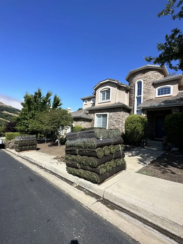 Professional yard maintenance experts serving Campbell, CA - Dreamworks Landscapes & Design