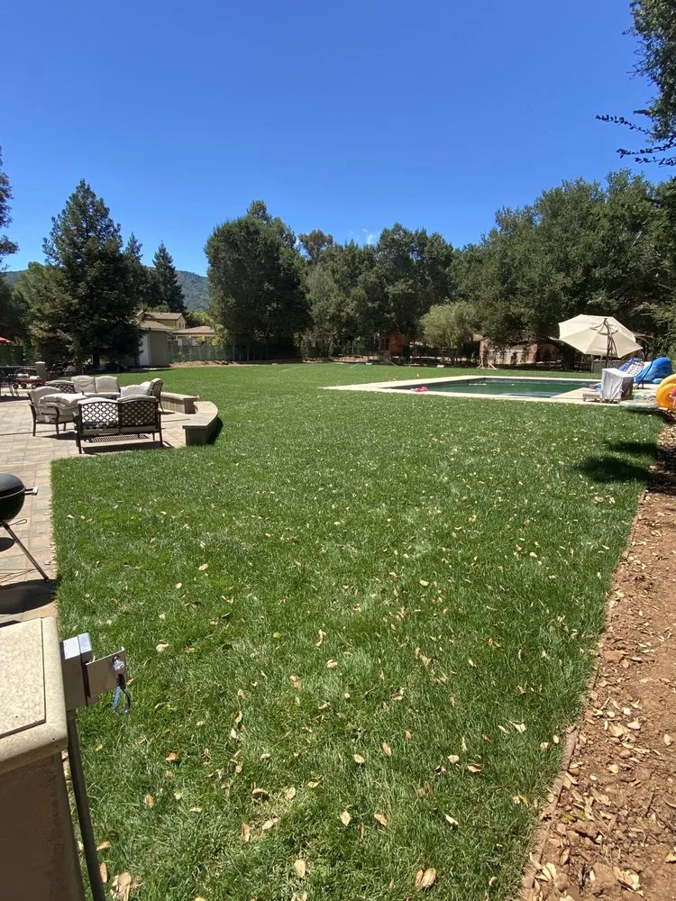 Affordable outdoor landscaping in Campbell, CA by Dreamworks Landscapes & Design