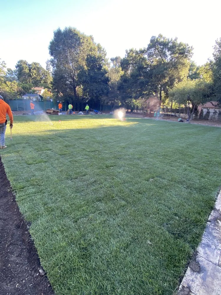 Professional yard maintenance experts serving Campbell, CA - Dreamworks Landscapes & Design
