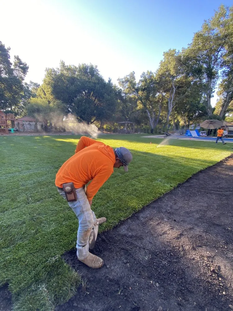 Trusted yard cleanup service with custom design across Campbell, CA - Dreamworks Landscapes & Design