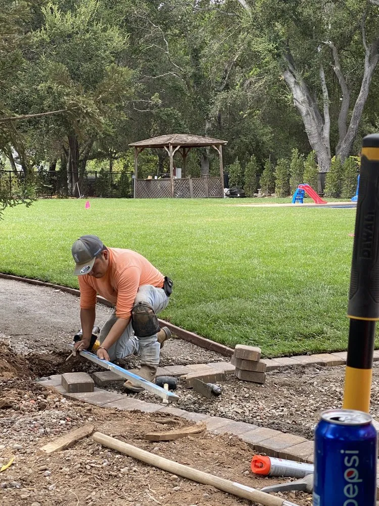 Affordable garden landscaping in Campbell, CA - Dreamworks Landscapes & Design