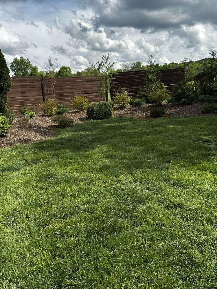 Trusted lawn care service for homes across Smyrna, TN - Dreamyard Solutions