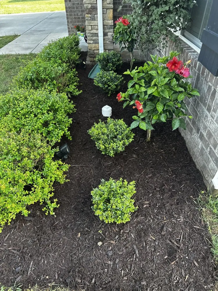 Expert landscaping services in Smyrna, TN - Dreamyard Solutions