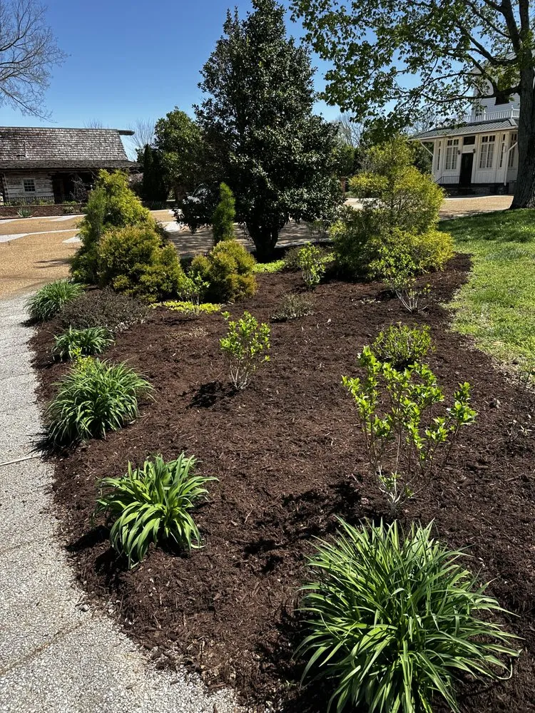 Local yard cleanup service in Smyrna, TN by Dreamyard Solutions