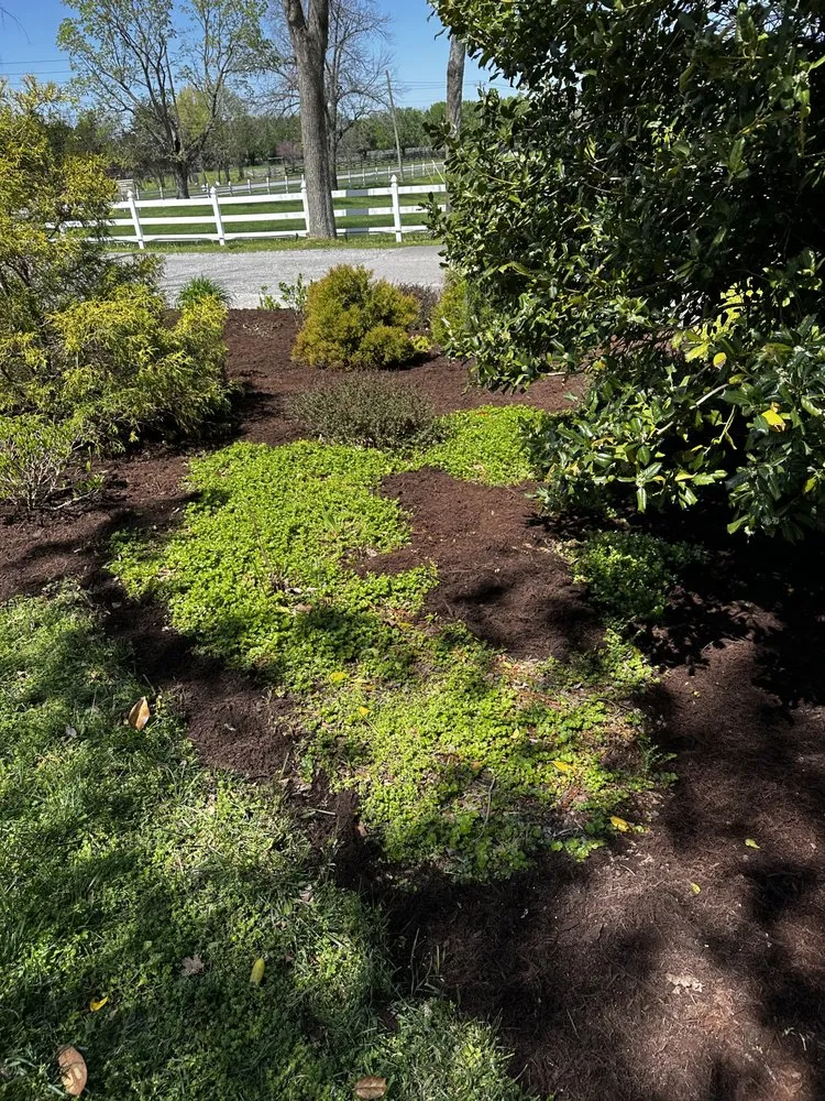 Affordable garden landscaping for outdoor upgrades across Smyrna, TN - Dreamyard Solutions