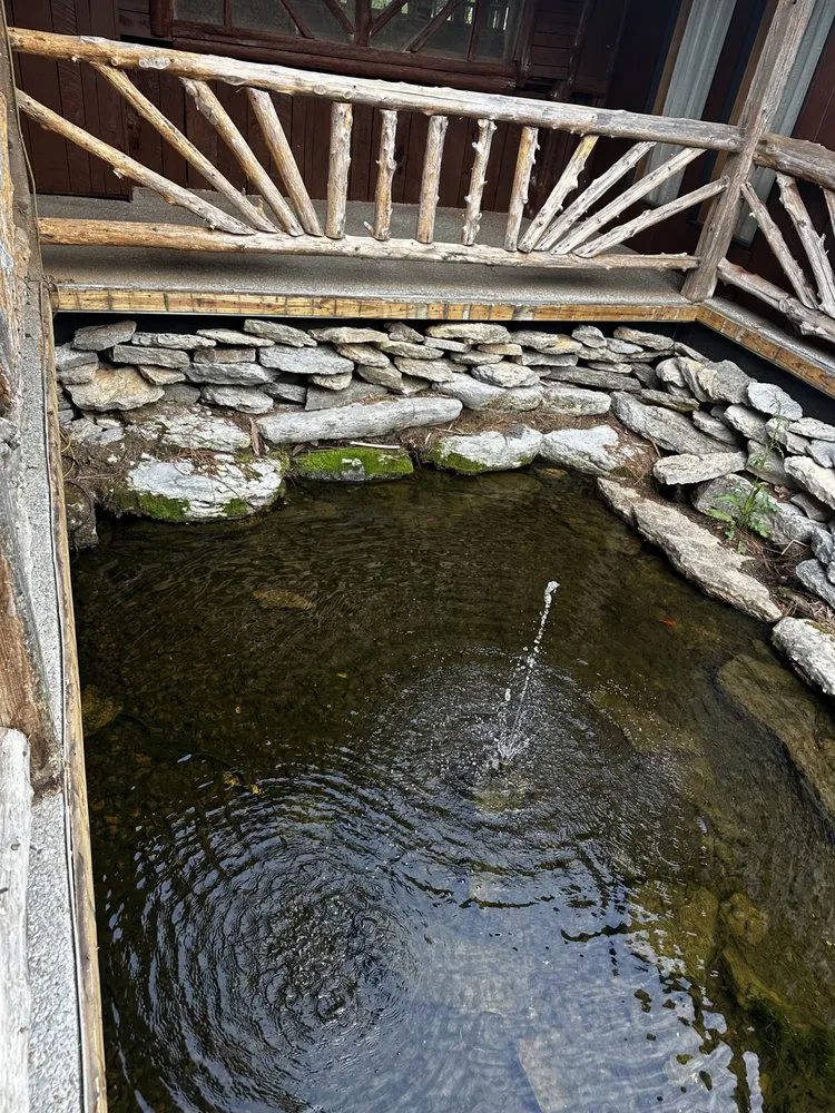 Affordable yard cleanup service near you across Smyrna, TN - Dreamyard Solutions