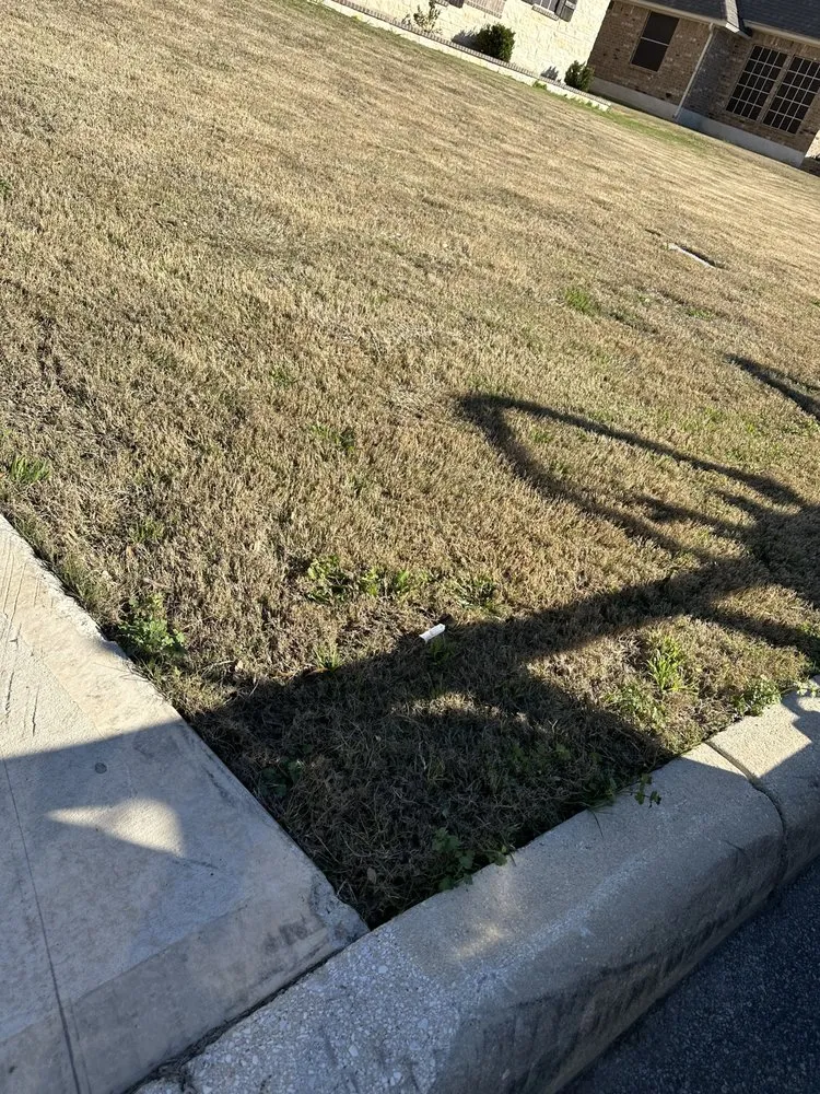 Custom lawn care service for outdoor upgrades across San Antonio, TX - Dreden Lawn Care