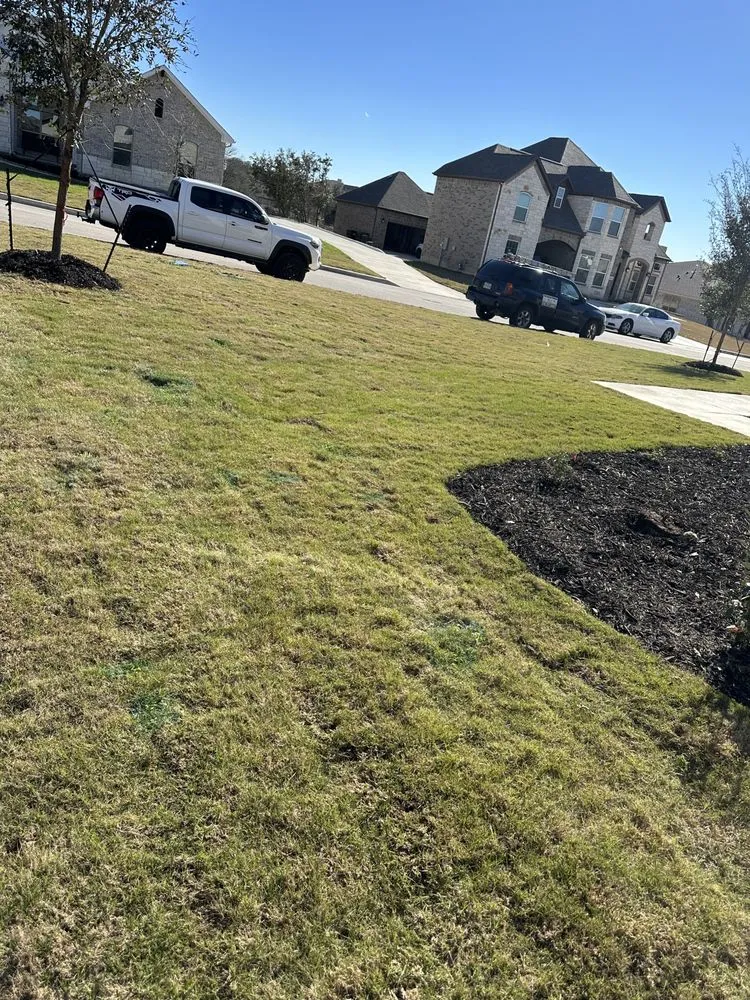 Custom landscaping services in San Antonio, TX by Dreden Lawn Care