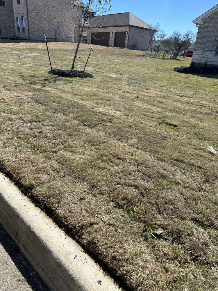 Custom landscaping services in San Antonio, TX - Dreden Lawn Care
