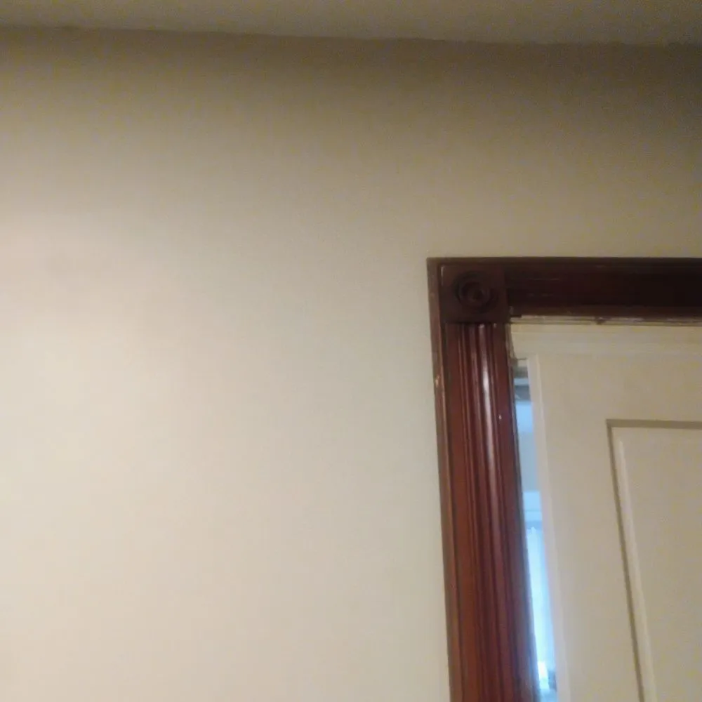 Reliable yard cleanup service in Binghamton, NY - Drego Painting Services