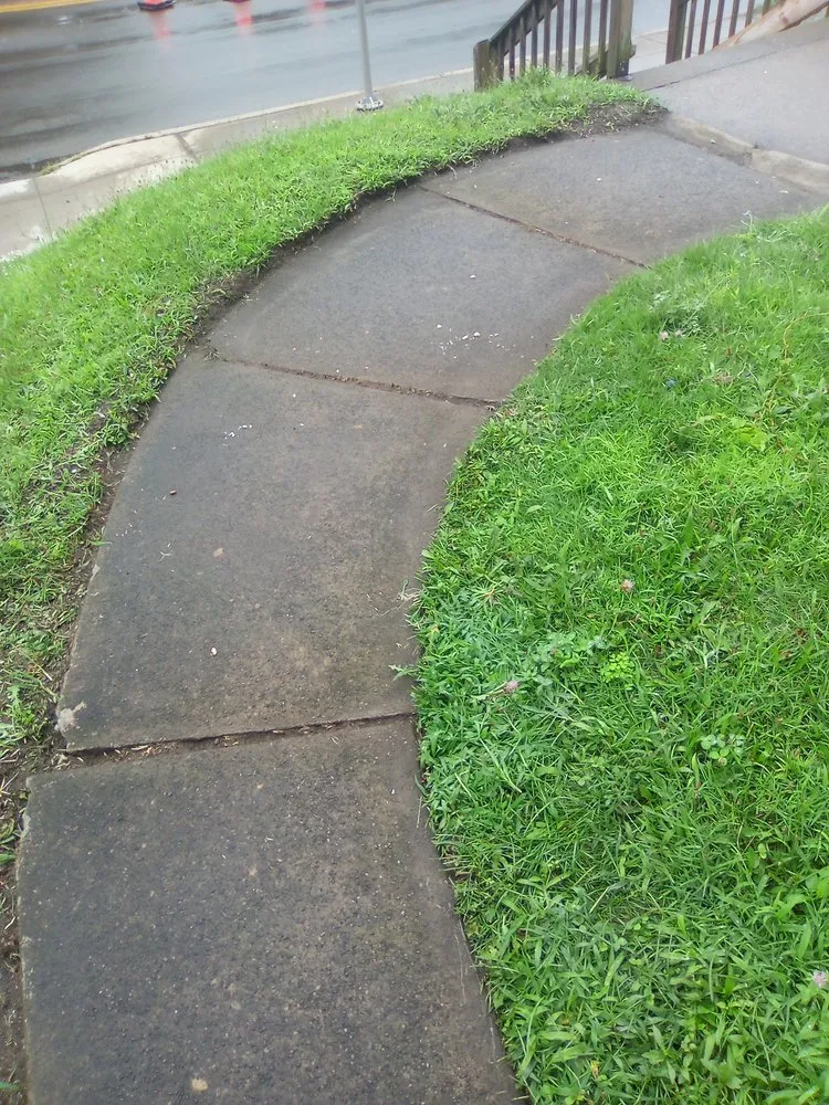 Trusted yard cleanup service in Binghamton, NY - Drego Painting Services