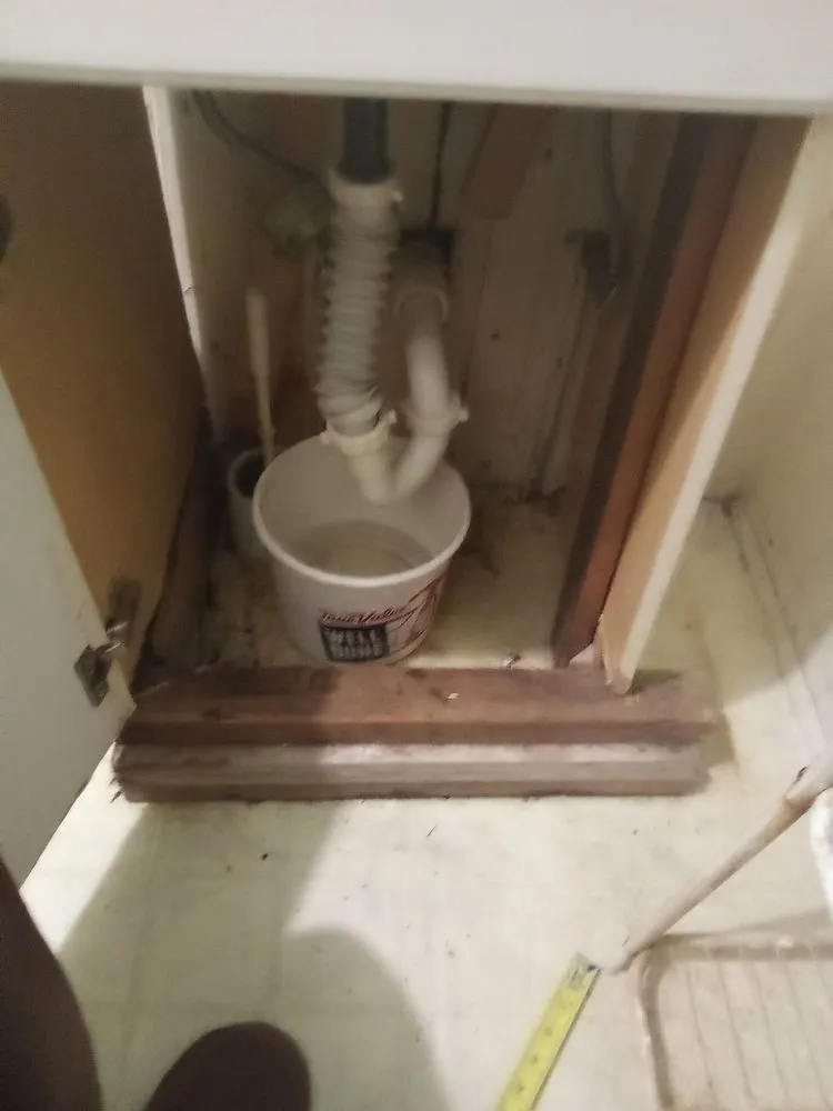 Affordable yard cleanup service in Binghamton, NY by Drego Painting Services