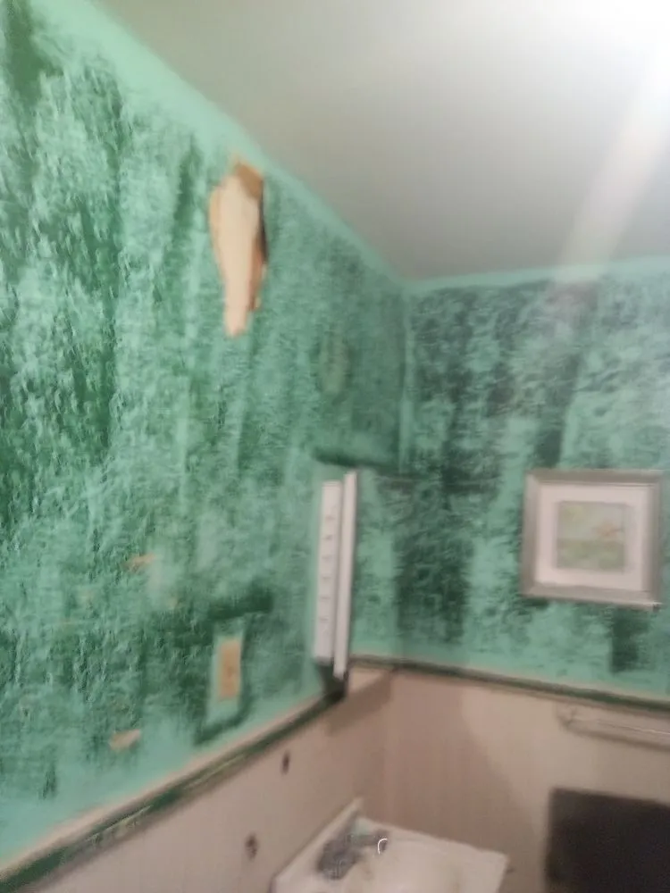 Top-rated lawn care service experts serving Binghamton, NY - Drego Painting Services