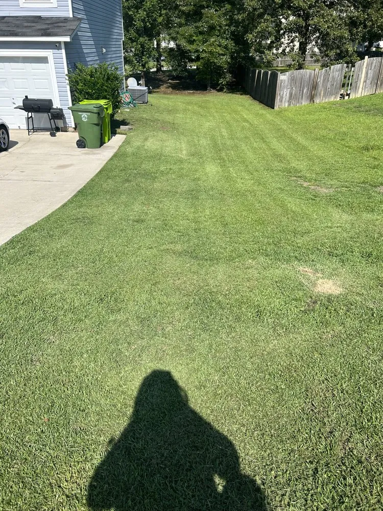 Professional landscape installation in Columbia, SC - Dreher's Lawn Care