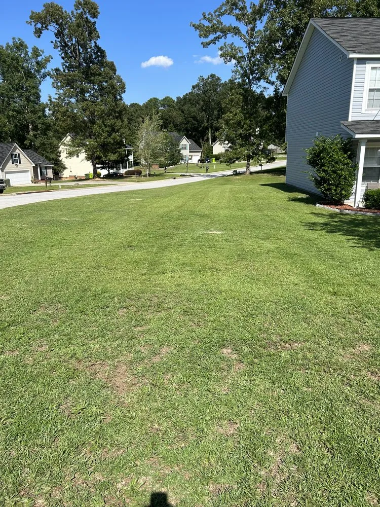 Reliable lawn care service in Columbia, SC by Dreher's Lawn Care