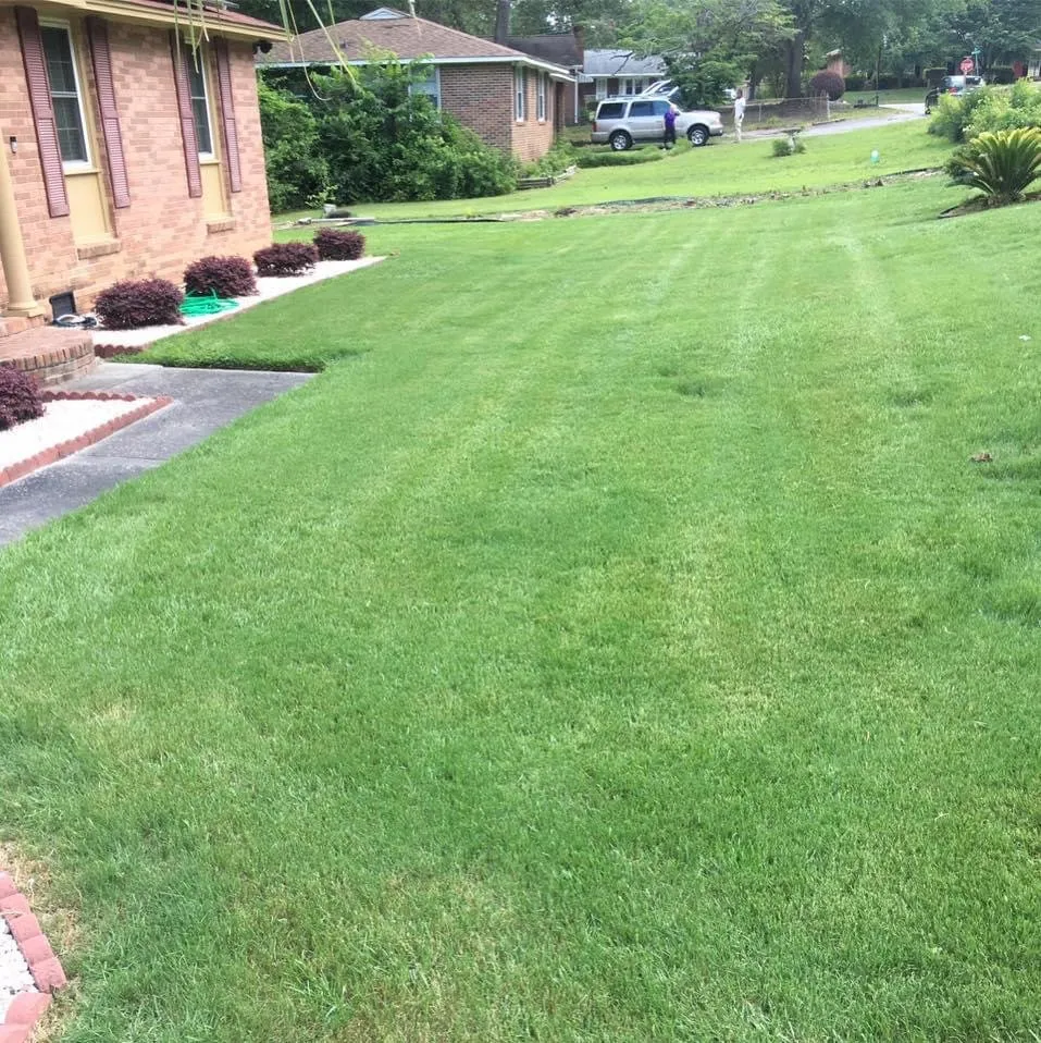 Top-rated outdoor landscaping experts serving Columbia, SC - Dreher's Lawn Care