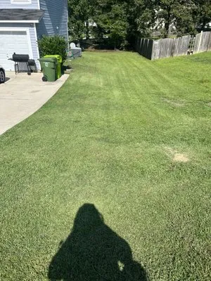 Dreher's Lawn Care Logo