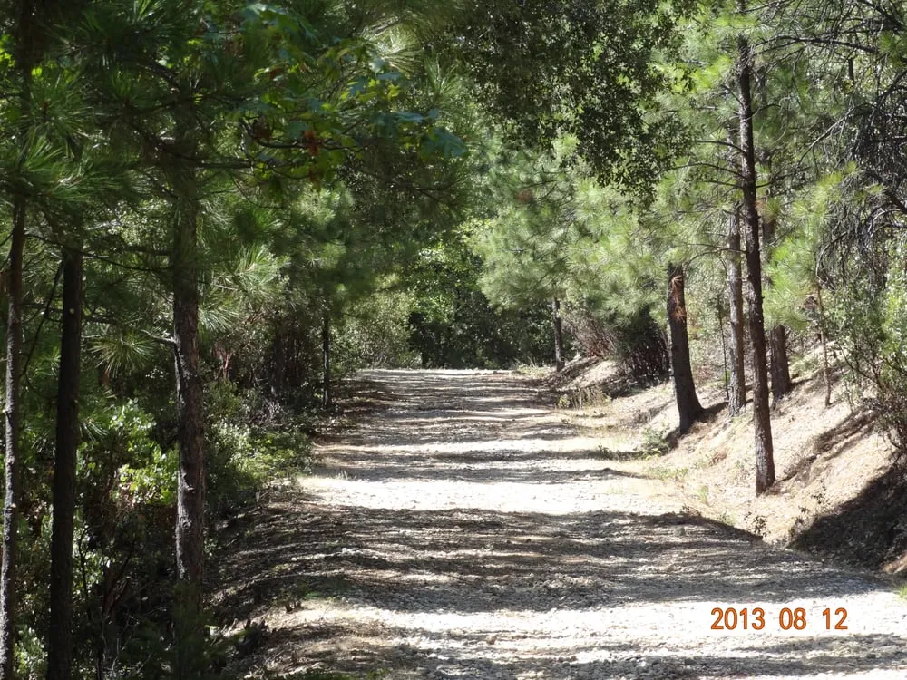 Local landscape installation in Newcastle, CA by Dreher's Patch