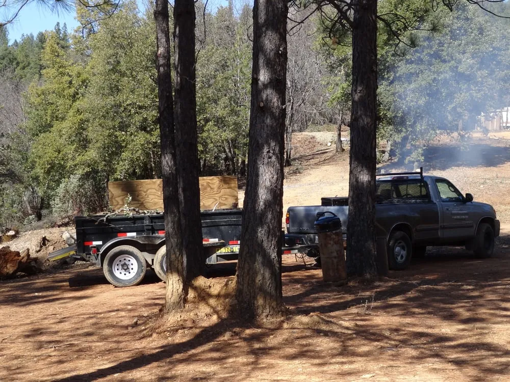 Reliable landscape installation for year-round maintenance in Newcastle, CA by Dreher's Patch