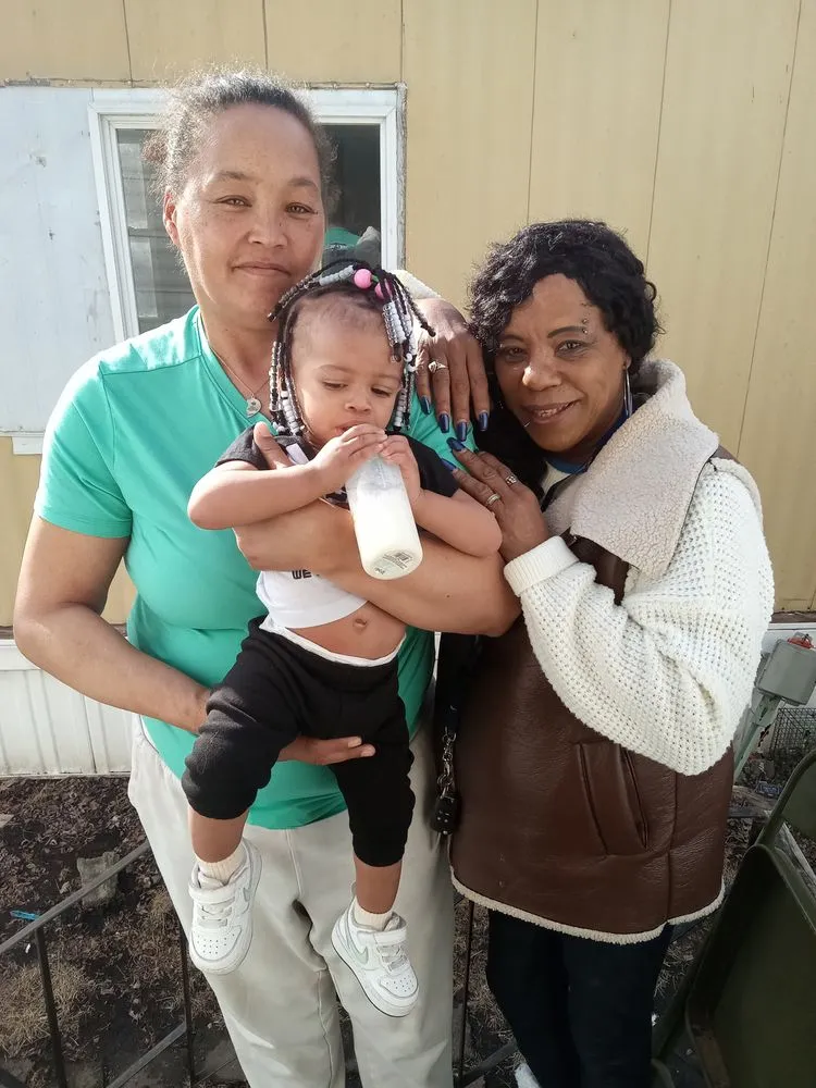 Top-rated landscape installation for residential properties across Evansdale, IA - Dreier Cleaning Service and Lawn Care