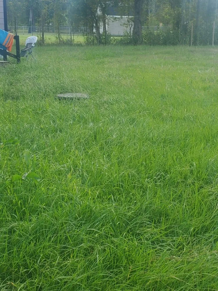 Professional garden landscaping in Dayton, TX by Dreier Lawn Care