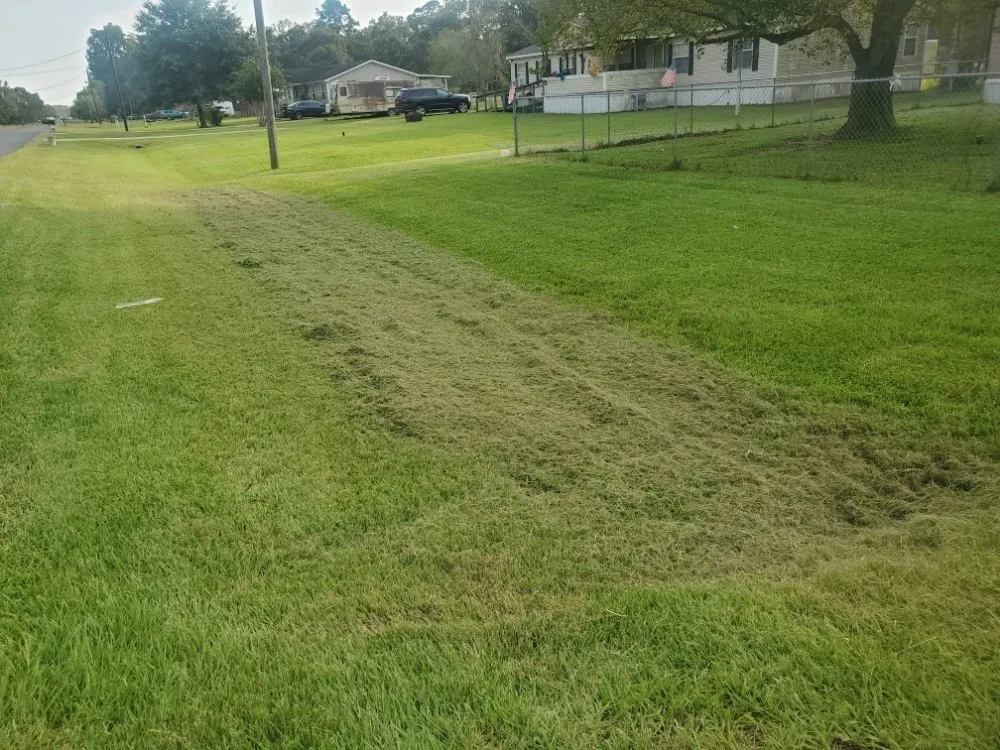 Professional landscaping services in Dayton, TX by Dreier Lawn Care