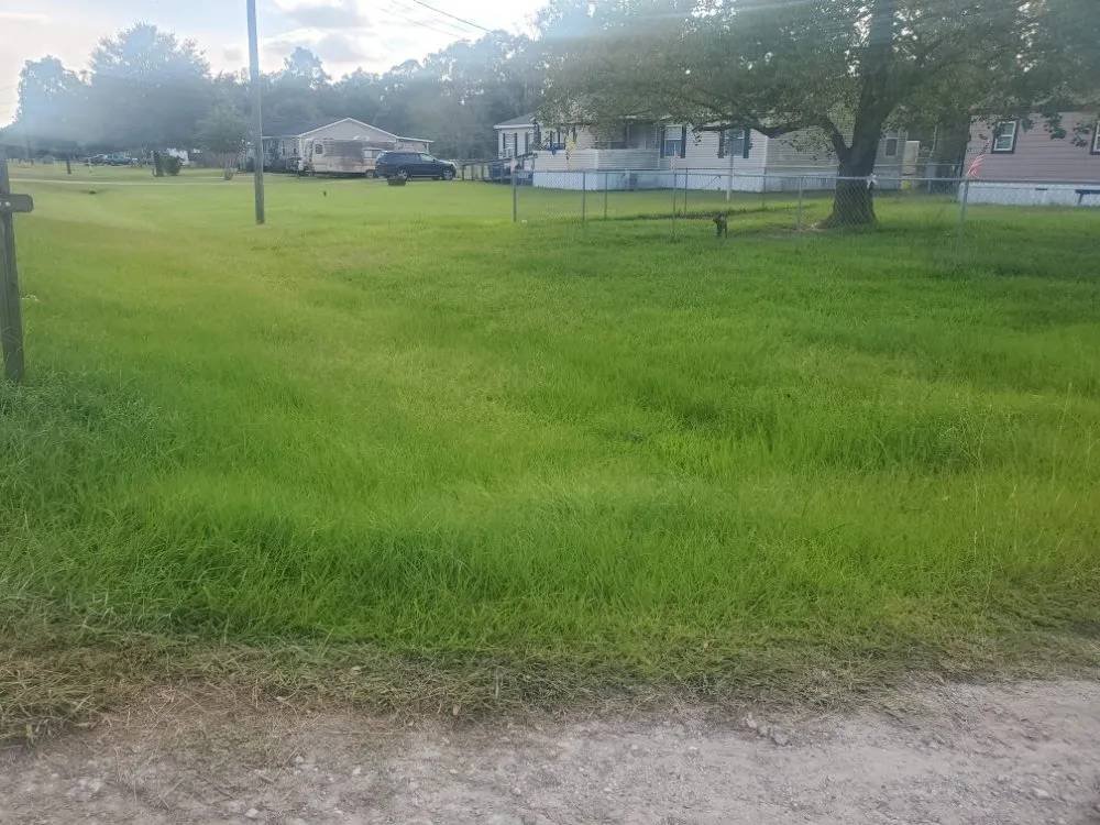 Local residential landscaping in Dayton, TX - Dreier Lawn Care