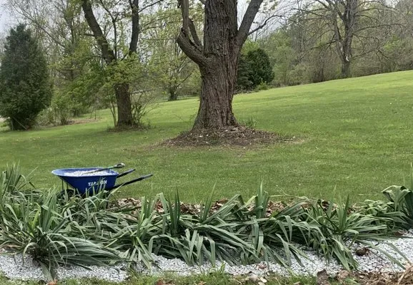 Dremer Lawn Care & Landscaping Logo