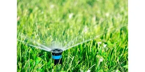 Trusted yard maintenance for residential properties across Olive Branch, MS - Drench Lawncare & Irrigation