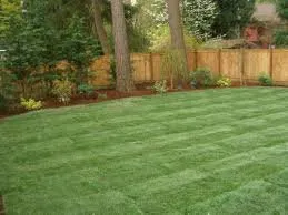 Custom yard maintenance in Okemah, OK - Drench Pro