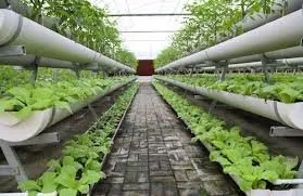 Local landscape design experts serving Okemah, OK - Drench Pro