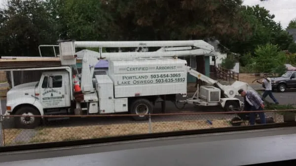 Drendels Tree Service Logo