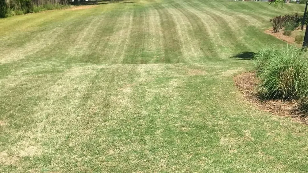 Trusted yard maintenance for year-round maintenance across Liberty, SC - Dre's Lawn Care