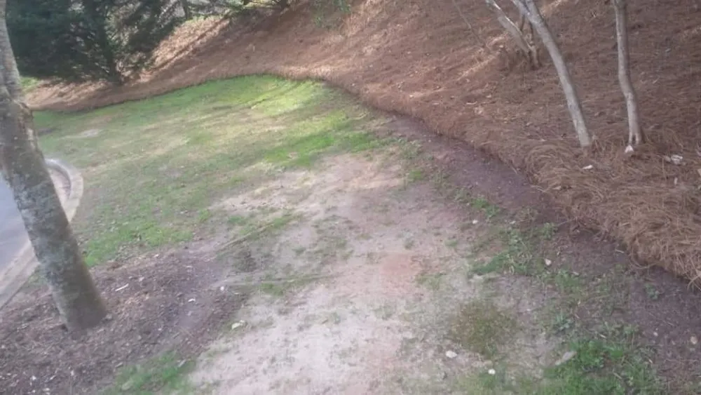 Custom landscape design in Liberty, SC by Dre's Lawn Care