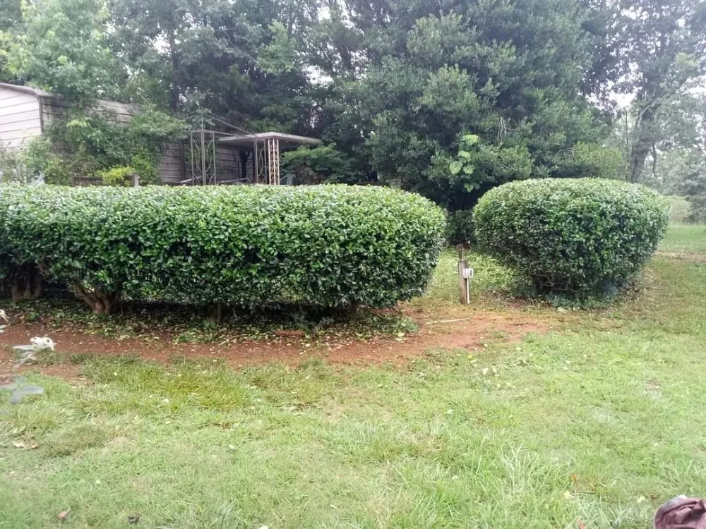 Affordable lawn mowing service for residential properties across Liberty, SC - Dre's Lawn Care