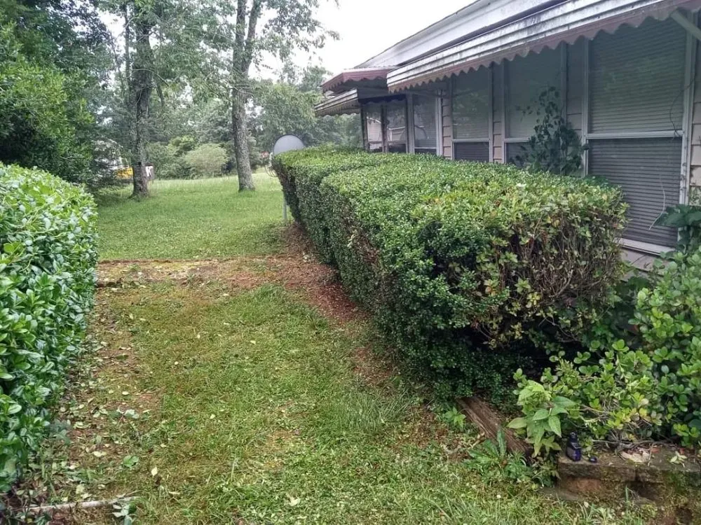 Top-rated landscape design in Liberty, SC - Dre's Lawn Care