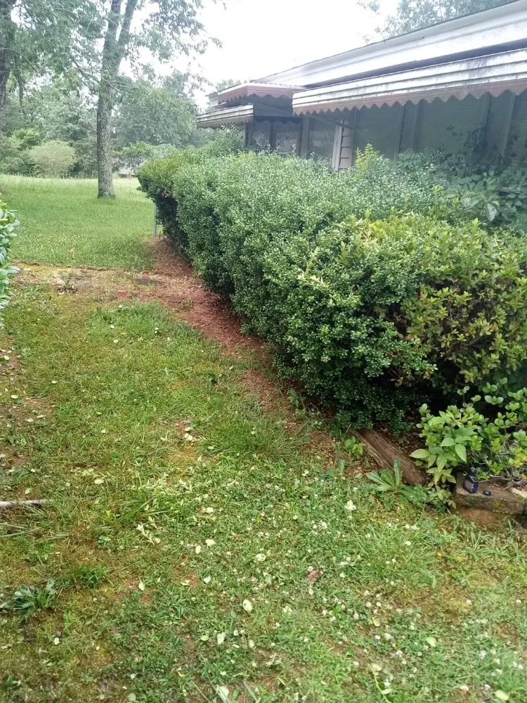 Reliable lawn mowing service for year-round maintenance in Liberty, SC by Dre's Lawn Care